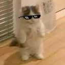 redacted