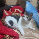 源源 的伺服器