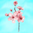 Blossom