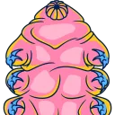 B-nign server