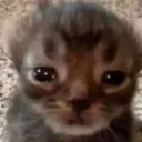 Hasbihal Discord Server Icon