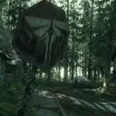 fireflies Discord Server Icon