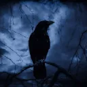 Crow's Nest of Shiny Trinkets