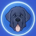 NEWFY