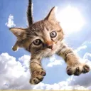 💫🐱 GUUD CATS |  Español ・ Social ・ Gaming ・ Comunidad ・ Amigos 🌍