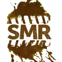 Skid Mark Racing
