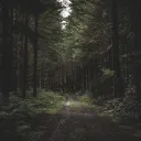 Liu’s Hide Away