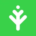 Ivy Maker