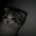 Miichiiss!!