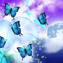 ☾⋆𔓘Runaro's Dream & Nightmare Realm𔓘⋆☽