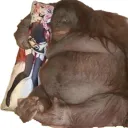 APES