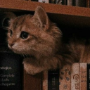 Isolationism・❥ ・CHILL・HANGOUT Discord server icon