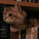 Isolationism・ ・CHILL・HANGOUT Discord Server Icon