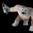 Piranha Collectors