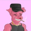 Poly pigs NFT