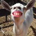 TheGoatLord's clan