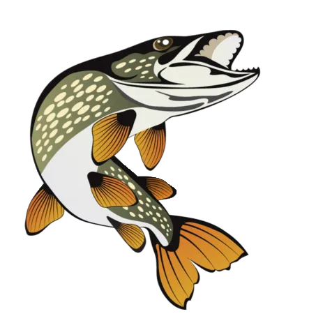 🐟│𝐏𝐞𝐜𝐡𝐞𝐮𝐫𝐬 𝐅𝐑│🐟 banner