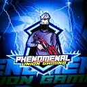 PHENOMENAL UNION GAMING icon