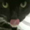 post pussy pics please