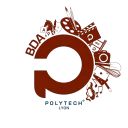 BDA - Polytech Lyon