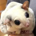 ཐིཋྀ Discord Server Icon