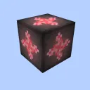 Project Expansion