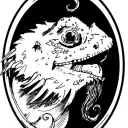 Bearded Dragon Games of Oneonta