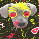 poodle toy