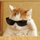 CULSUZ