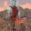 The Birbhouse!