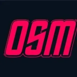 OSM — мониторинг Discord сервера, статистика и рейтинг