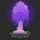 Wish Guardian Discord