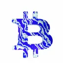 Bitcoin Intellectuals