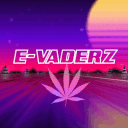 E-VADERZ (18+)'s icon