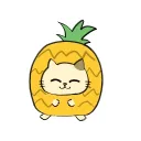 沖縄に行くために