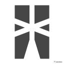 Ballerina icon