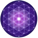 Permaculturedesign.io
