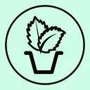 Mint Alpha