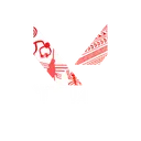 Valorant Peruano