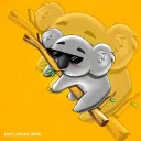 Lazy Koala Club