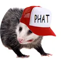 Phatchat