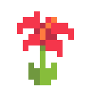 Team Hibiscus icon