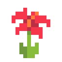 Team Hibiscus icon
