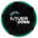 NEVER DOWN Rp