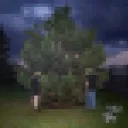 100 gecs and the r/place of clues
