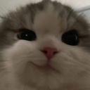 https://cdn.discordapp.com/icons/958803817162498119/658db59a33a92a6d25db43443486896b.jpg?size=128