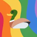 The Ducks Pond 🌈