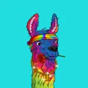 Alpaca_PaX