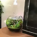 水槽学部