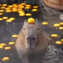 capibaras